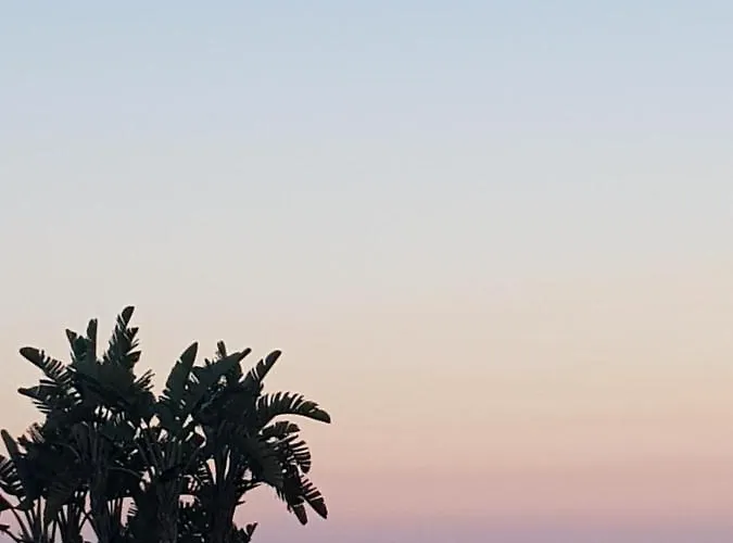 I Puritani On The Apartment *